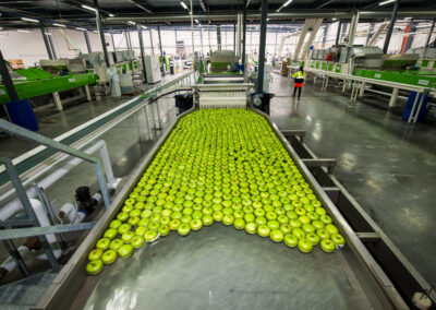 Nine Mile Fresh Tynong